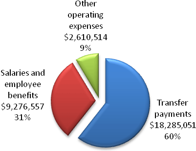 This pie chart shows the mix of expense types at Status of Women Canada.